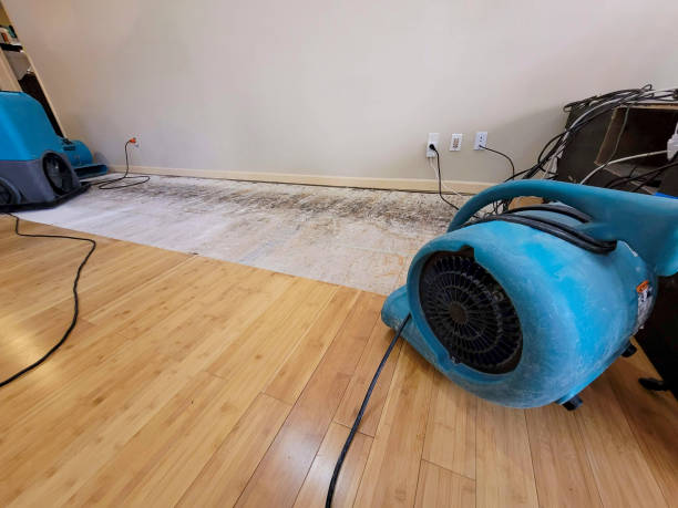 Professional Structural Drying technician working in Osage, IA
